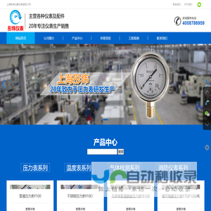 压力表|不锈钢压力表|膜盒压力表|法兰压力表-上海彤炜仪器仪表有限公司