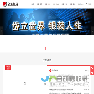 岱银集团